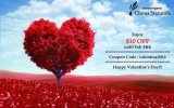 Enjoy $10 off Valentine's Day Coupon until Feb 14th!!
