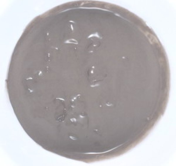 Photo1: Dead Sea Mineral Mud 240g (1)